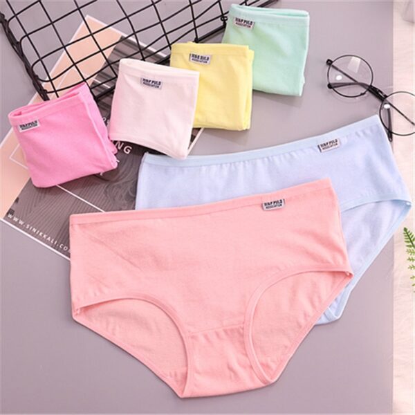 4 pièces culottes en coton – Image 2