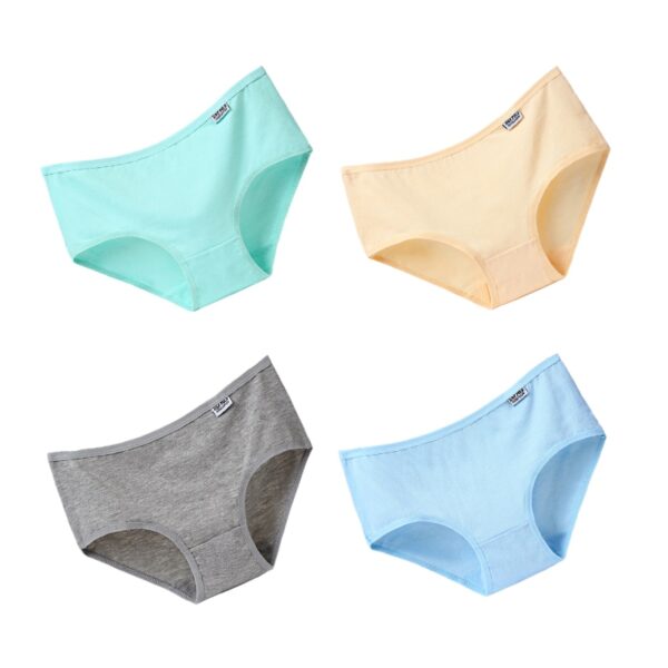 4 pièces culottes en coton – Image 4
